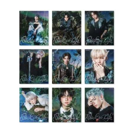 &TEAM - [BACK TO LIFE] KR 1st Mini Album (Roar Ver.)