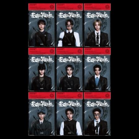 &TEAM - [GO IN BLIND] (SOLO Ver.)