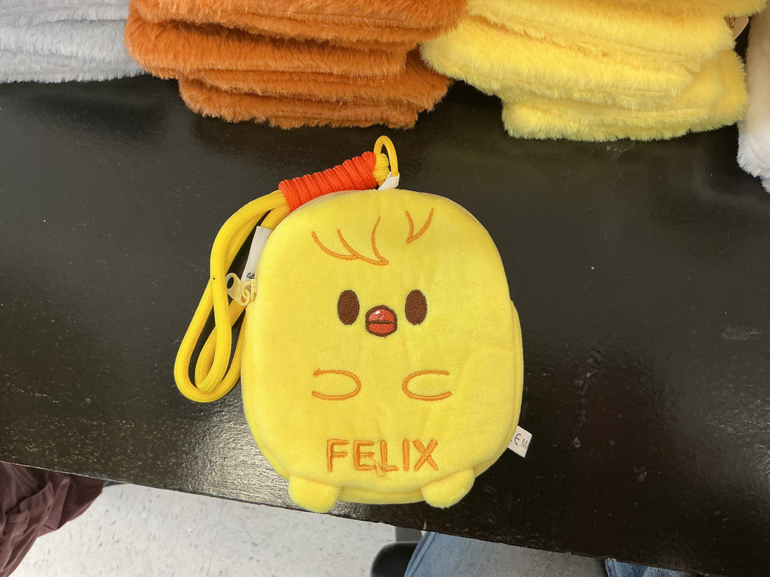 SKZ COIN PURSE
