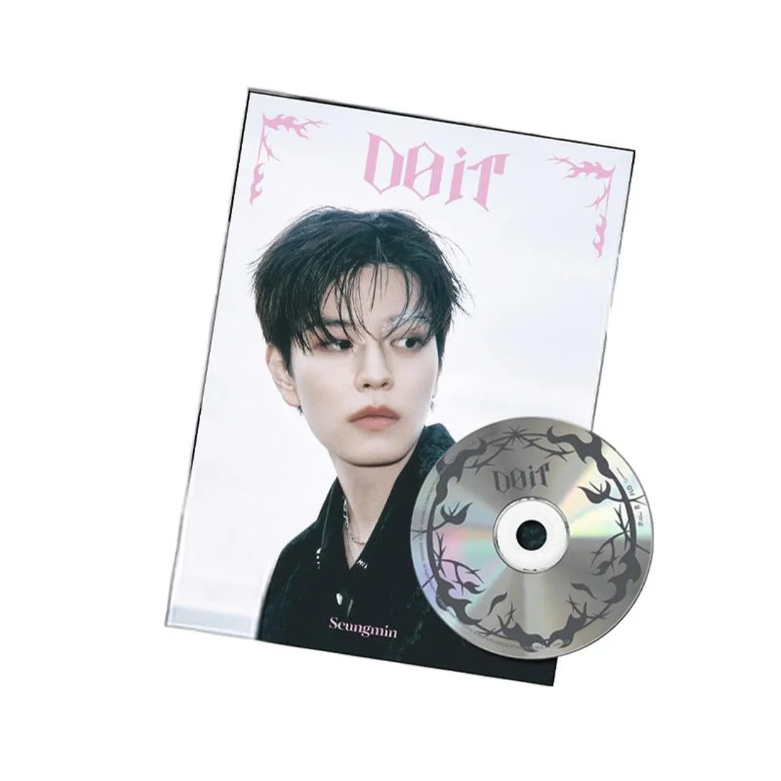 STRAY KIDS - [DO IT] SKZ IT TAPE ACCORDION Version