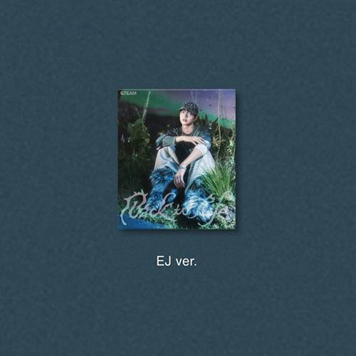 &TEAM - [BACK TO LIFE] KR 1st Mini Album (Roar Ver.)